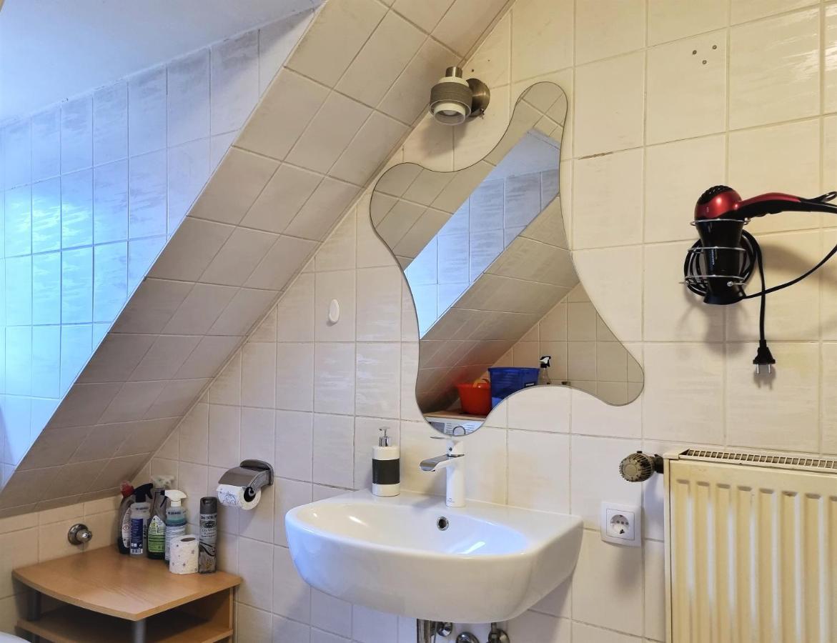 Apartment Bayreuth, Grosse Ferienwohnung Im Haus Mit Kunst, 3 Schlafzimmer, Kueche, Parkplatz Екстер'єр фото