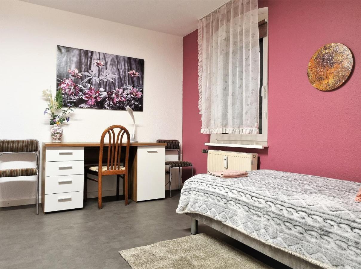 Apartment Bayreuth, Grosse Ferienwohnung Im Haus Mit Kunst, 3 Schlafzimmer, Kueche, Parkplatz Екстер'єр фото