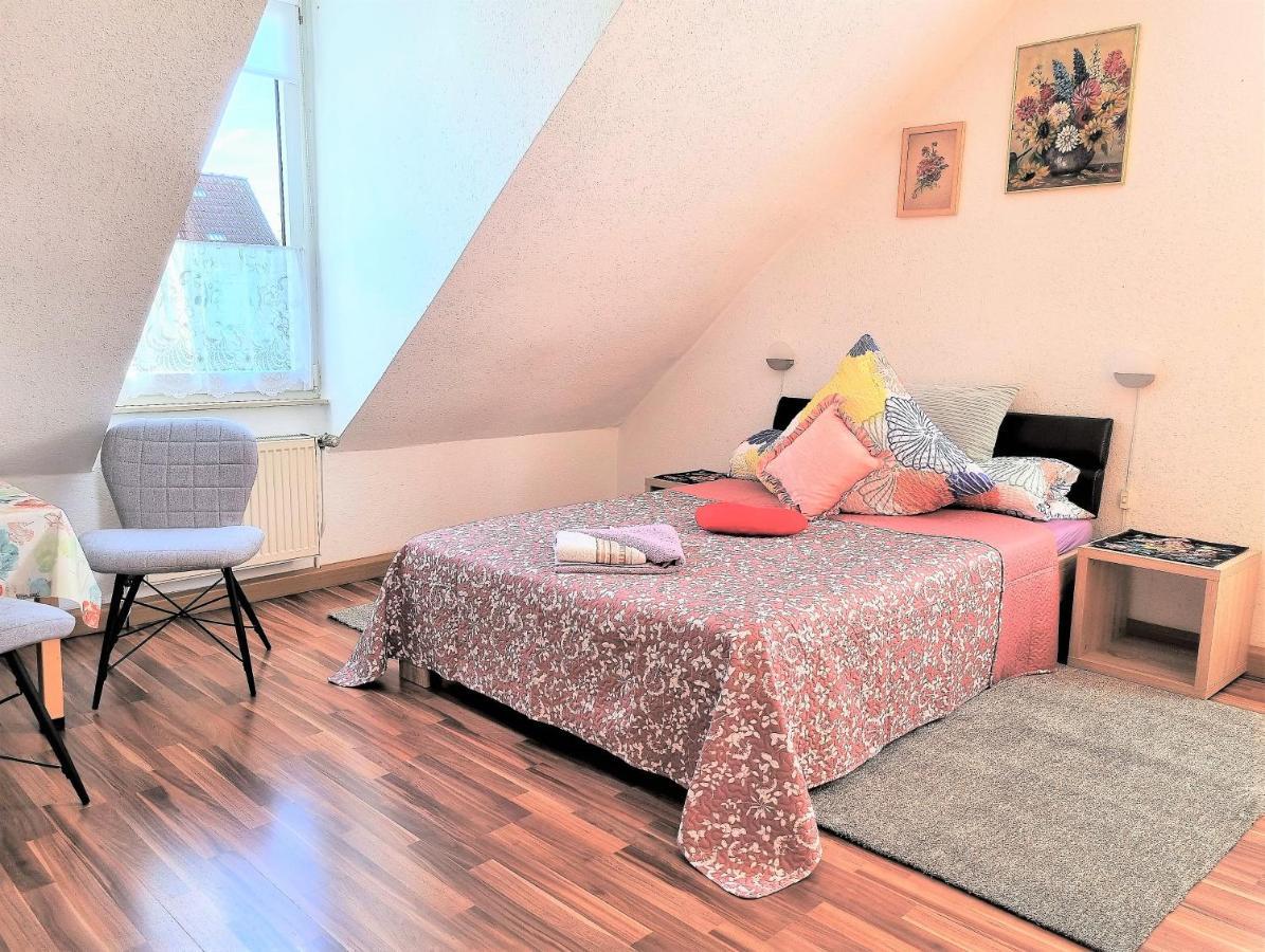 Apartment Bayreuth, Grosse Ferienwohnung Im Haus Mit Kunst, 3 Schlafzimmer, Kueche, Parkplatz Екстер'єр фото